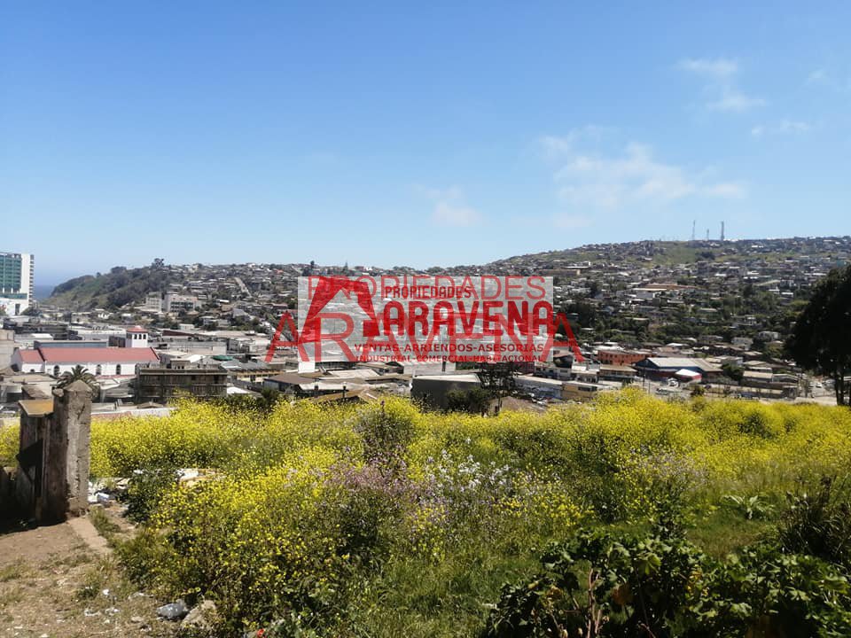 Departamento de Lujo - Piso Alto